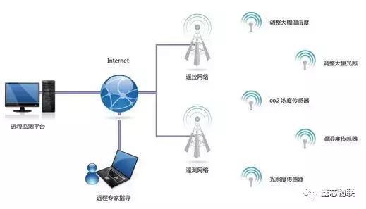 物聯網智能畜禽養殖管理系統 開啟現代養殖新篇章